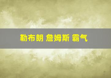 勒布朗 詹姆斯 霸气